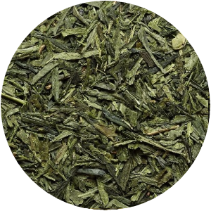 Sencha