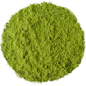 Matcha - 100gr