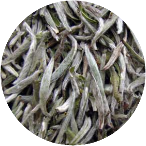 Yin Zhen (Silvery Pekoe) - 100gr